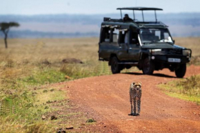 Ali Lewa Tours